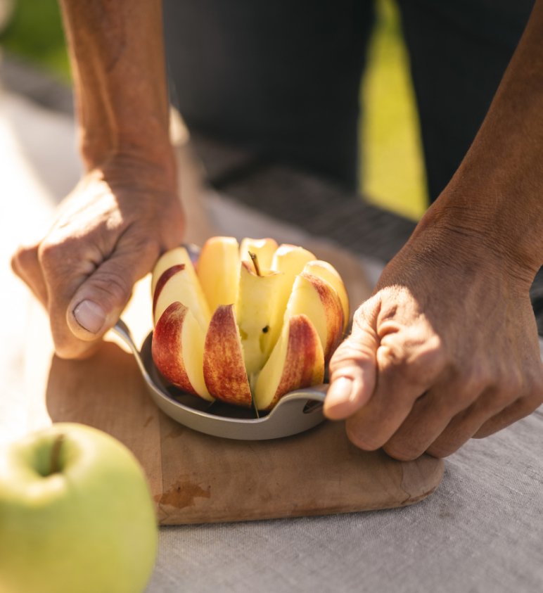 Markteinführung & Marktanalyse