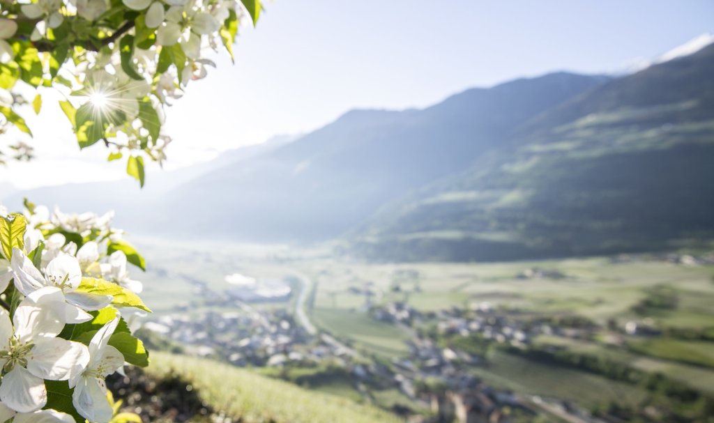 Unsere Vision: Stärkung durch Zusammenarbeit.