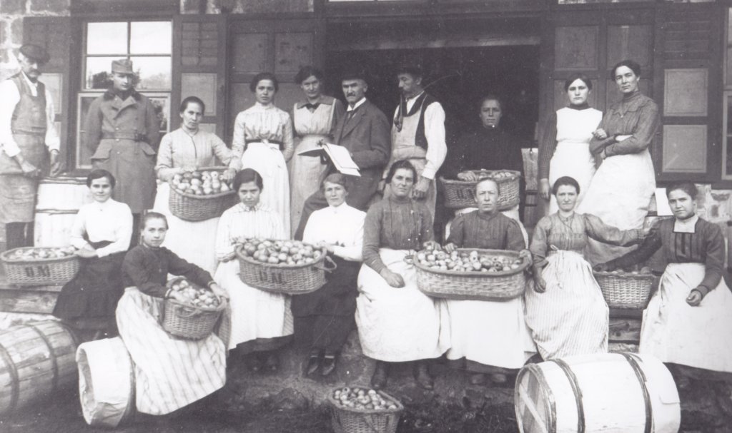 Sortenentwicklung in Südtirol