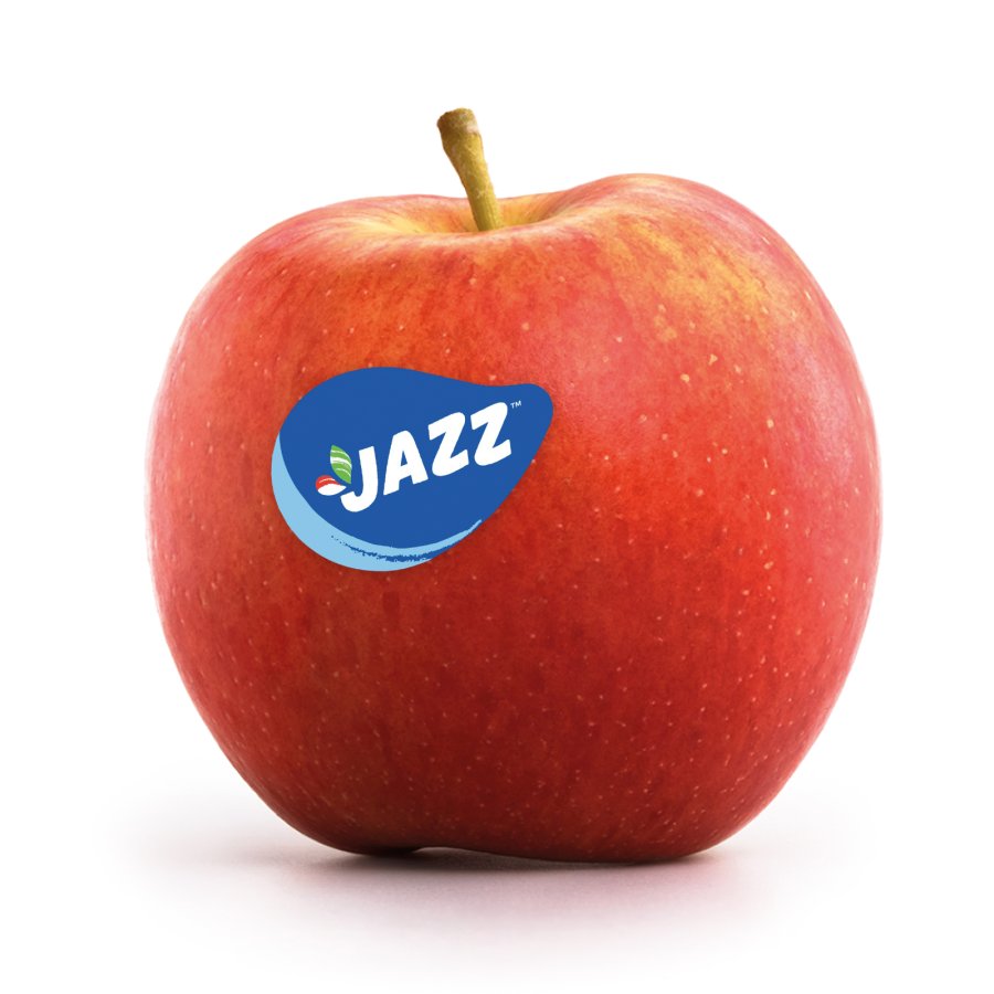 Scifresh - Jazz®